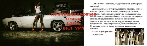 герыч Нефтегорск