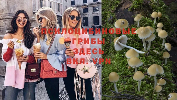 прущий лед Нея