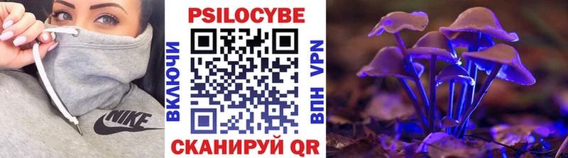 Псилоцибиновые грибы MAGIC MUSHROOMS  Катайск 